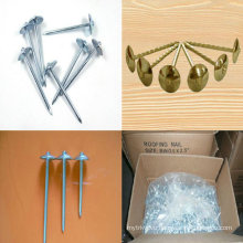 Hardware Nails Hot Galvanized Wire